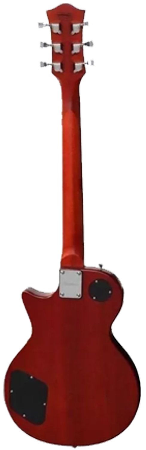 posterior-e1686200005436.png