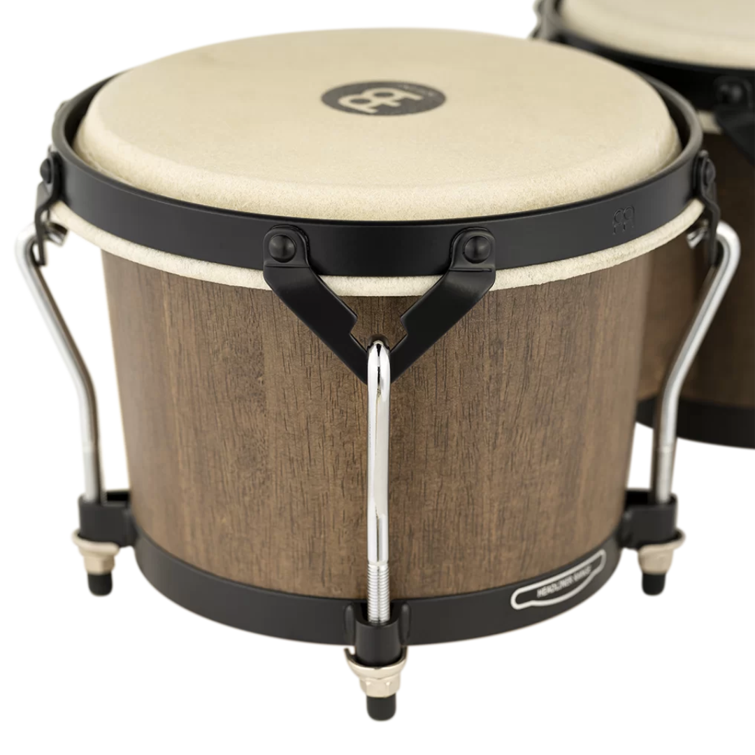 Bongo Meinl - Headliner - Color Café - Imagen 5