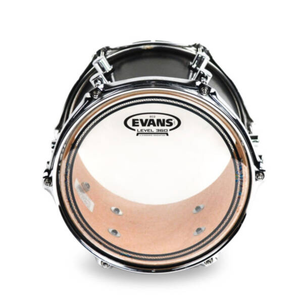 Pergamino Macho para tom 8" Macho - Evans - TT08EC2S - Imagen 2